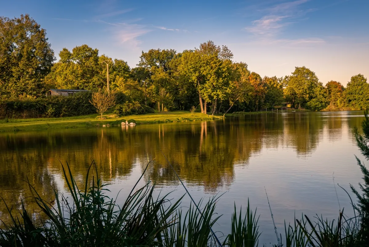 L'énigme des 9 hectares : qui a créé notre étang ?