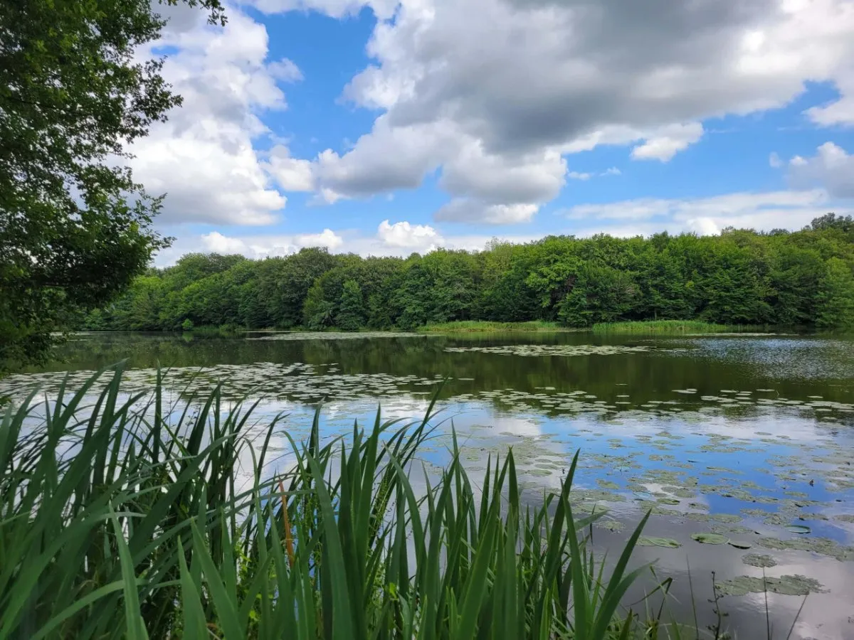 Triangle d'eau du Loiret à vélo : étapes et hébergements